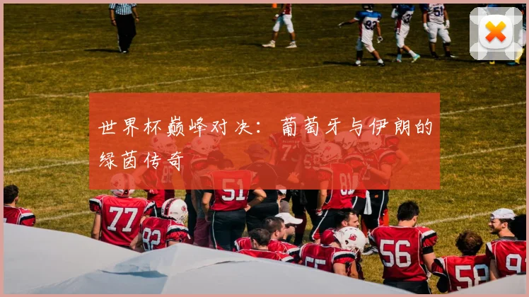 世界杯巅峰对决：葡萄牙与伊朗的绿茵传奇