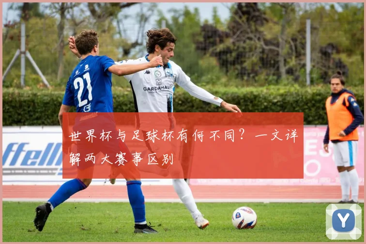 世界杯与足球杯有何不同？一文详解两大赛事区别